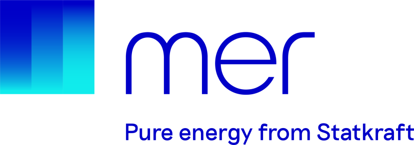 mer logo