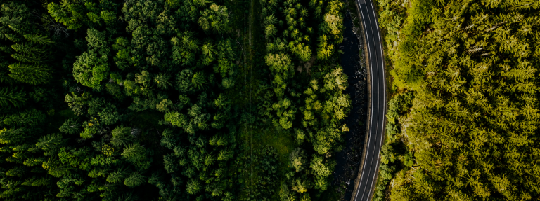 Naturstrasse THG Web